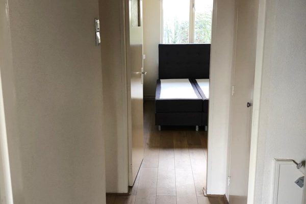 2941f13e-f431-425f-99b6-810e95a1a39b